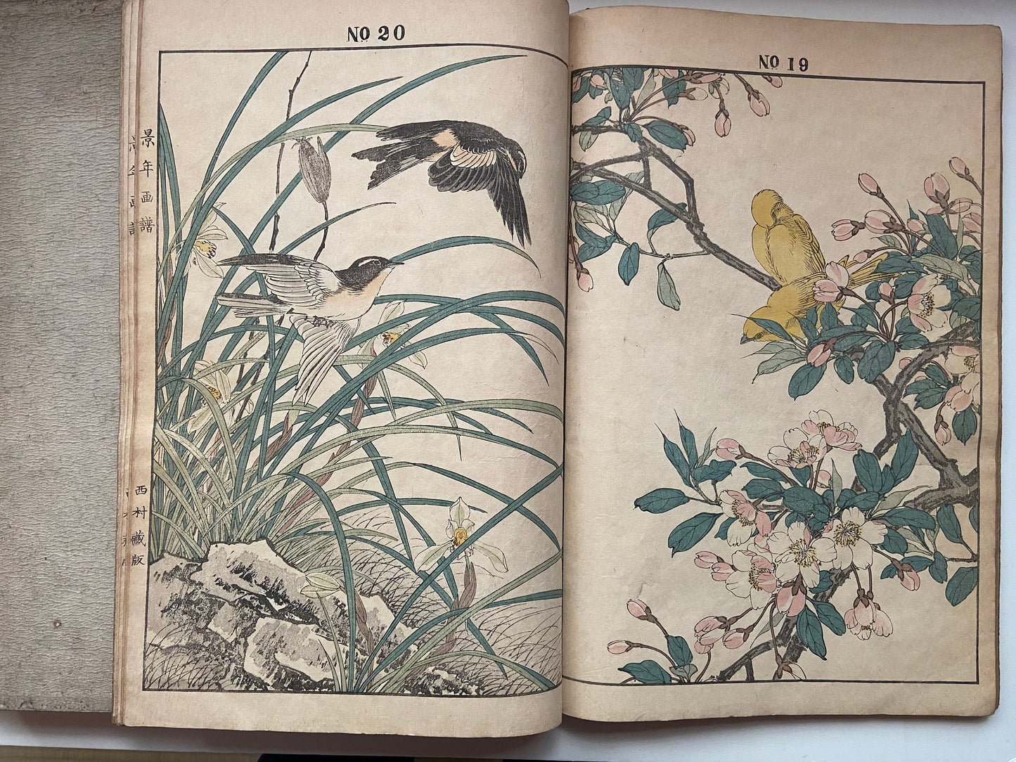 Japanese woodcut book, Imao Keinen, "Keinen kacho gafu (Keinen's Book of Birds and Flowers)".