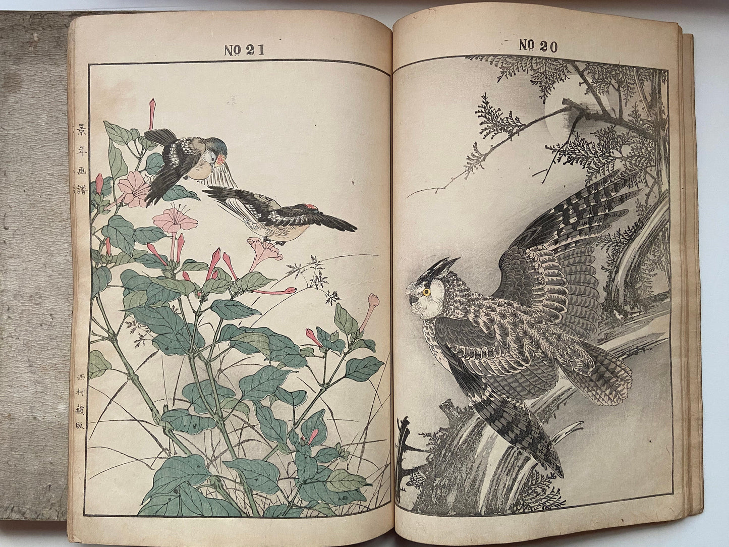 Japanese woodcut book, Imao Keinen, "Keinen kacho gafu (Keinen's Book of Birds and Flowers)".