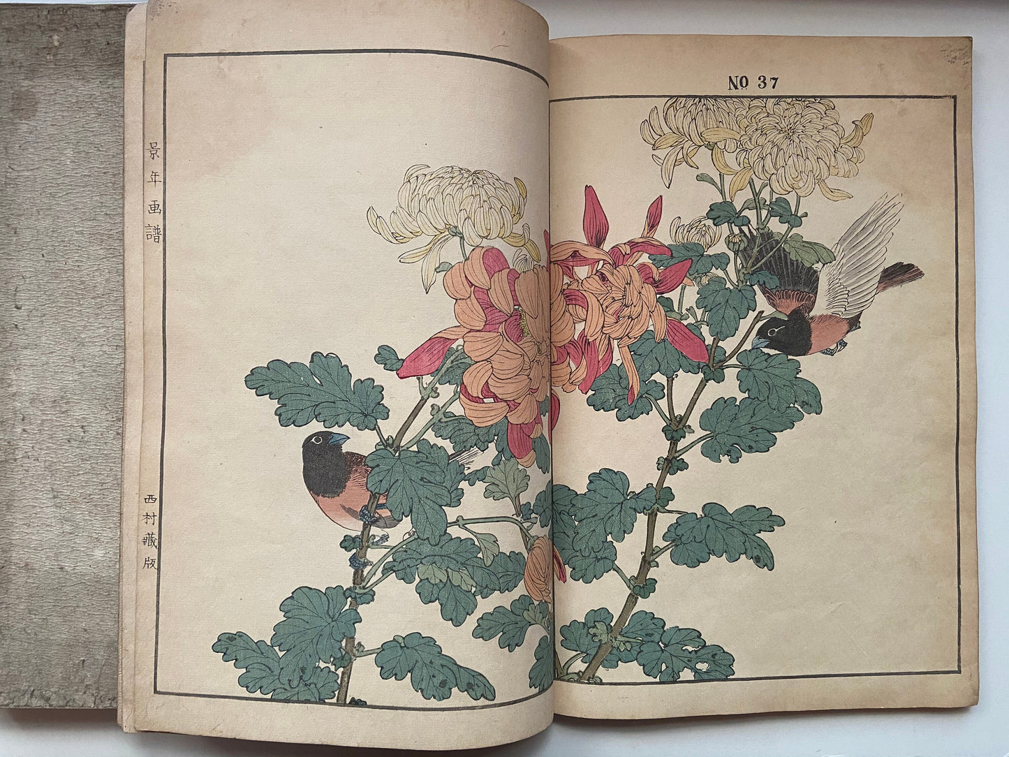 Japanese woodcut book, Imao Keinen, "Keinen kacho gafu (Keinen's Book of Birds and Flowers)".