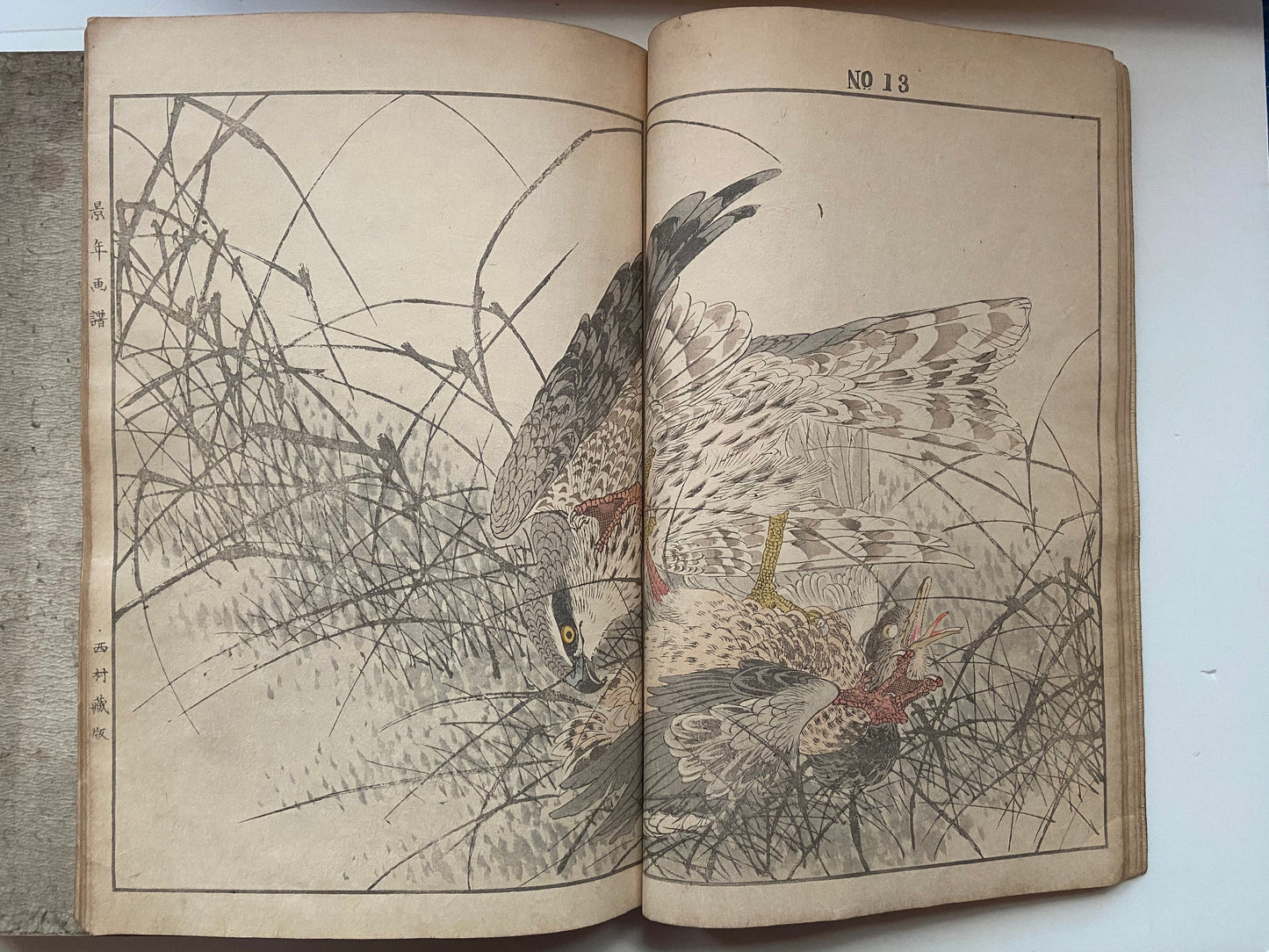Japanese woodcut book, Imao Keinen, "Keinen kacho gafu (Keinen's Book of Birds and Flowers)".