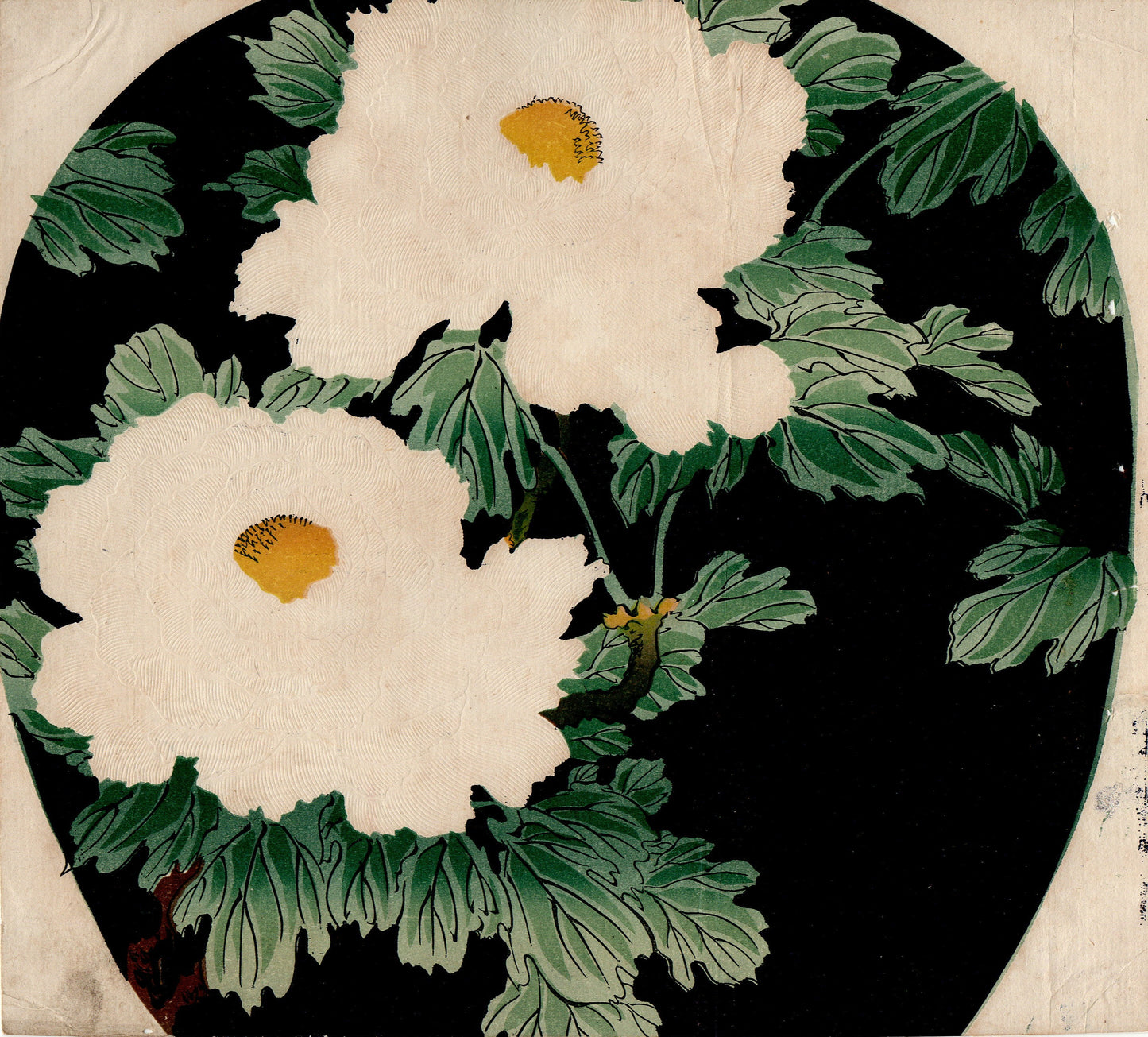 Japanese design, antique, woodcut print, Furuya Korin, White Peony