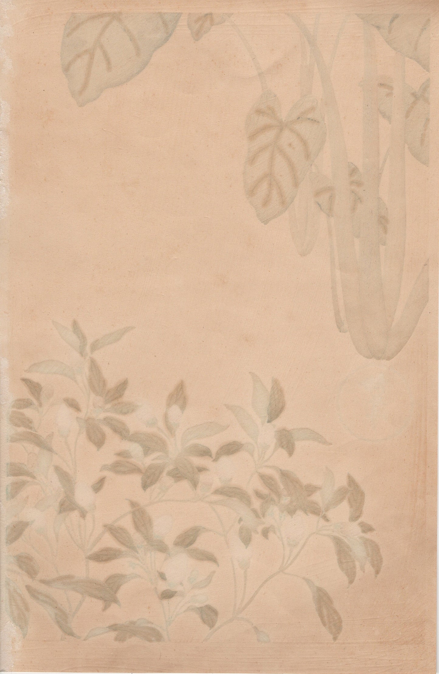 Japanese design, antique, woodcut print, 1930, Tawaraya Sotatsu, "Album of Hundred Flowers by Artists of Rinpa School, Potato, Pepper”