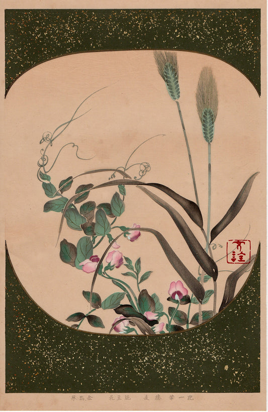 Japanese design, antique, woodcut print, 1930, Sakai Hoitsu, "Album of Hundred Flowers by Artists of Rinpa School, Ear barley, Pea flower”