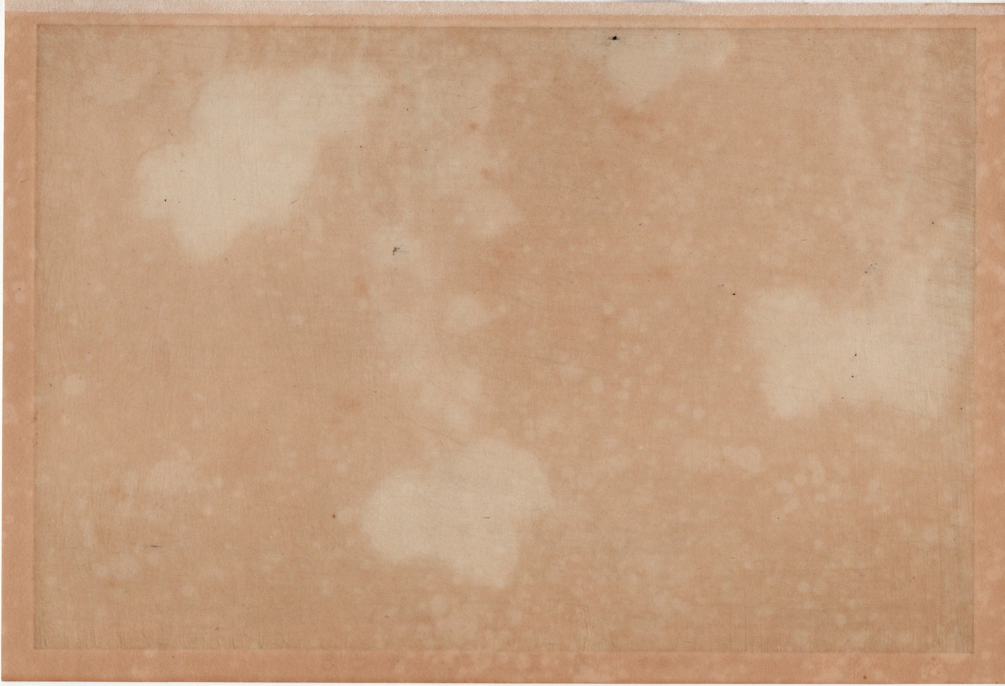 Japanese design, antique, woodcut print, 1930, Hon-ami Koetsu, "Album of Hundred Flowers by Artists of Rinpa School, Ivy”