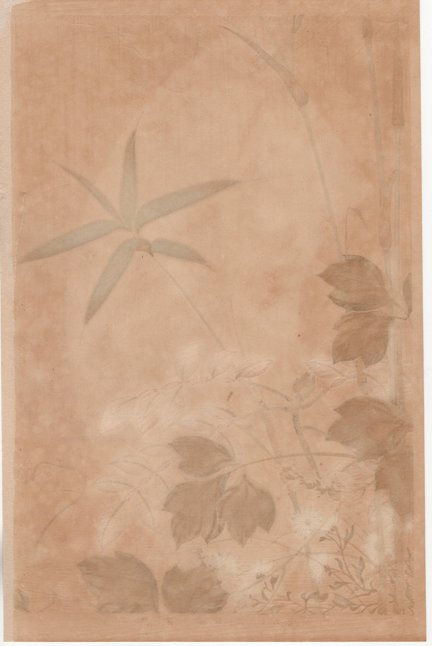 Japanese design, antique, woodcut print, 1930, Sakai Hoitsu, "Album of Hundred Flowers by Artists of Rinpa School, Wax tree, Kudzu”