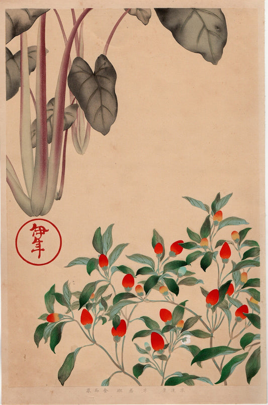 Japanese design, antique, woodcut print, 1930, Tawaraya Sotatsu, "Album of Hundred Flowers by Artists of Rinpa School, Potato, Pepper”
