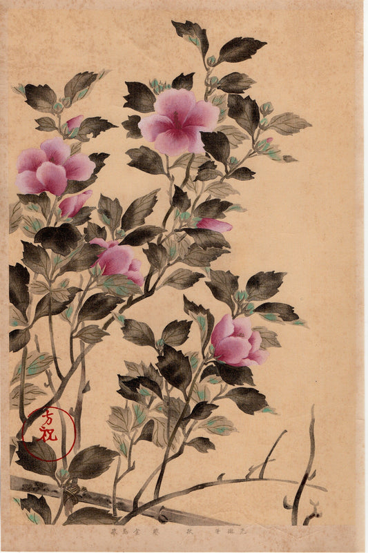 Japanese design, antique, woodcut print, 1930, Ogata Korin, "Album of Hundred Flowers by Artists of Rinpa School, Okra”