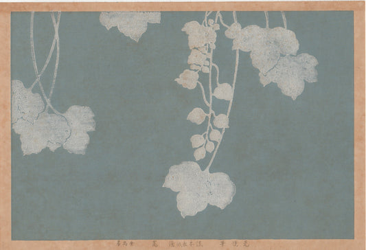 Japanese design, antique, woodcut print, 1930, Hon-ami Koetsu, "Album of Hundred Flowers by Artists of Rinpa School, Ivy”