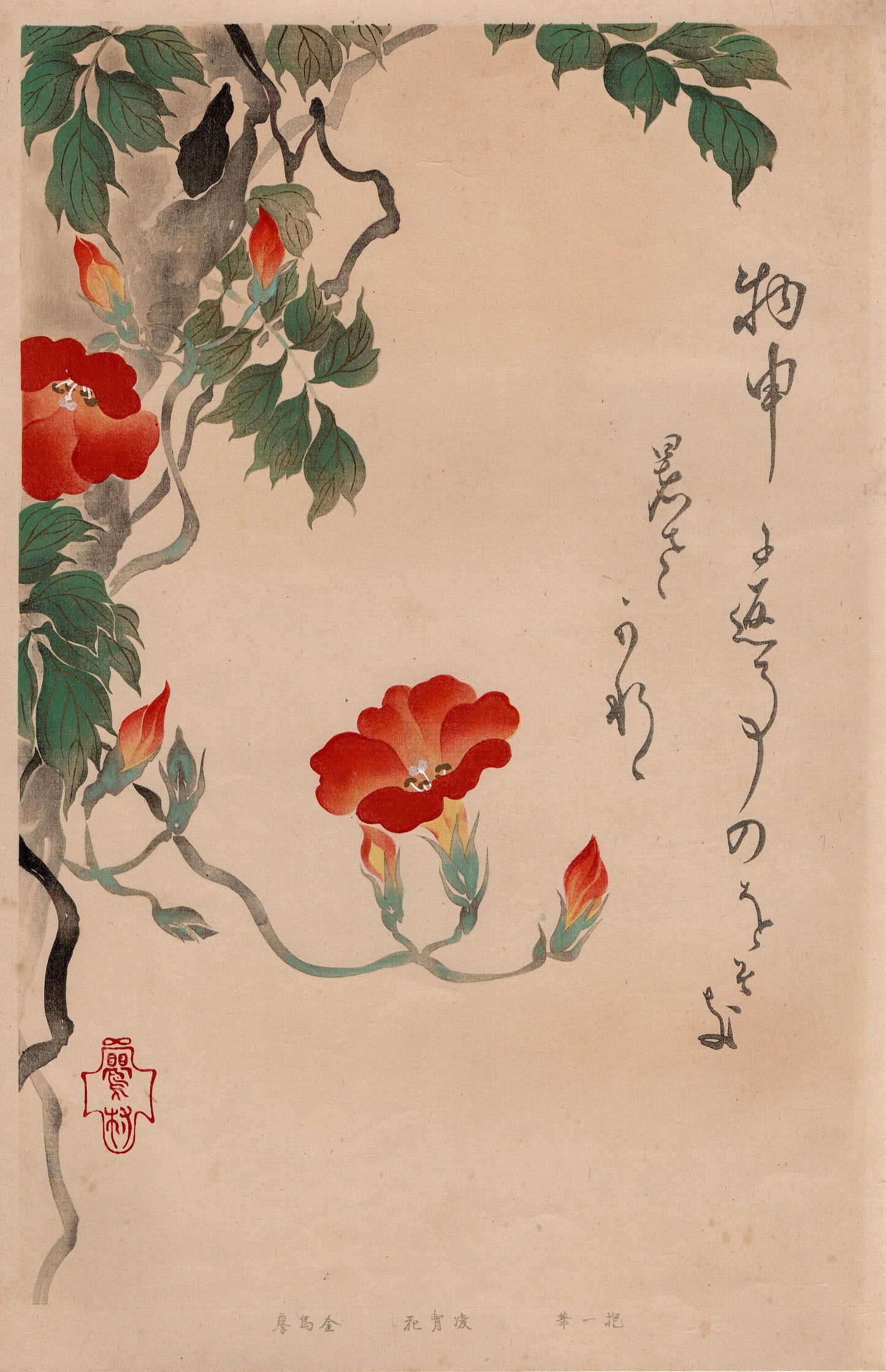 Japanese design, antique, woodcut print, 1930, Sakai Hoitsu, "Album of Hundred Flowers by Artists of Rinpa School, Chinese trumpet vine”