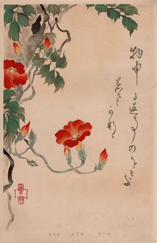 Japanese design, antique, woodcut print, 1930, Sakai Hoitsu, "Album of Hundred Flowers by Artists of Rinpa School, Chinese trumpet vine”