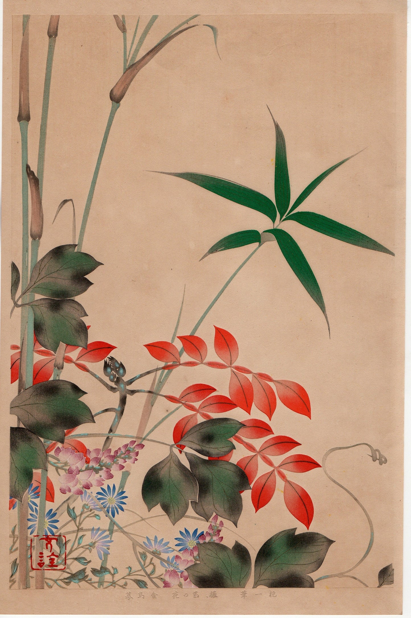 Japanese design, antique, woodcut print, 1930, Sakai Hoitsu, "Album of Hundred Flowers by Artists of Rinpa School, Wax tree, Kudzu”