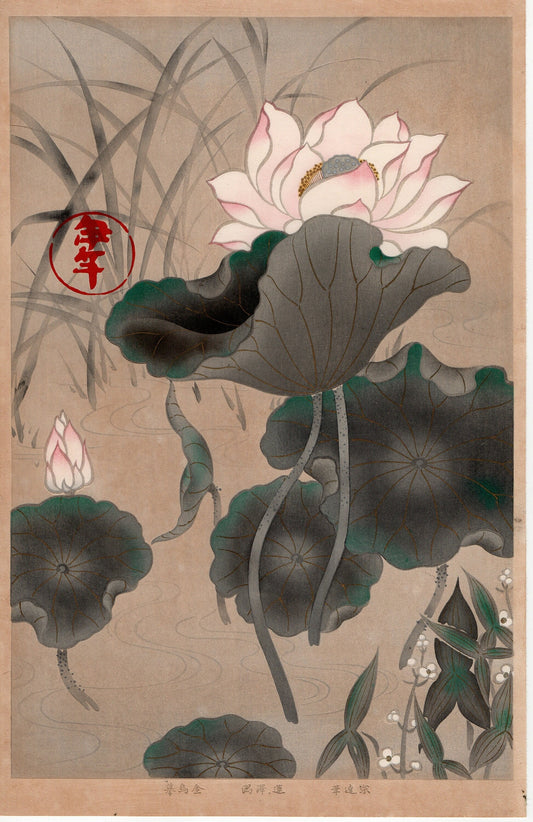 Japanese design, antique, woodcut print, 1930, Tawaraya Sotatsu, "Album of Hundred Flowers by Artists of Rinpa School, Lotus, Arrowhead”