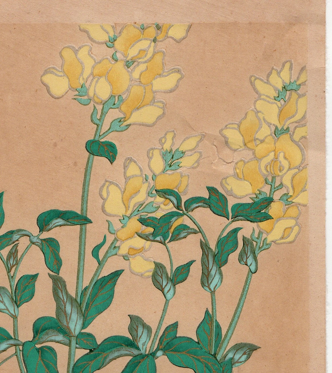 1930, Ogata Korin, "Album of Hundred Flowers by Artists of Rinpa School, Bleeding Heart, Siberian lupin, Morning star lily”