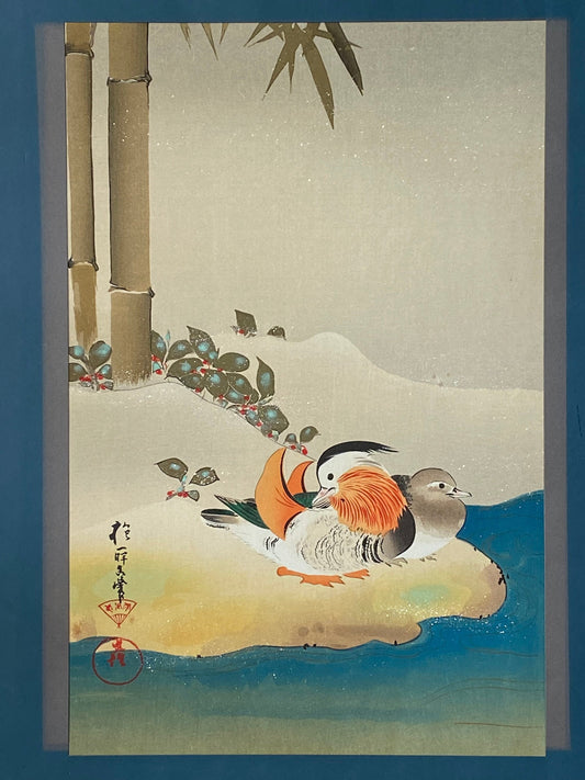 Japanese woodblock print, 1983, Large size, Sakai Hoitsu, Aix galericulata