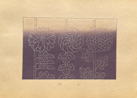 Japanese design, antique, woodcut print, 1933, Kawarazaki Kodo, Antique Woodcut Design Print, chrysanthemum.