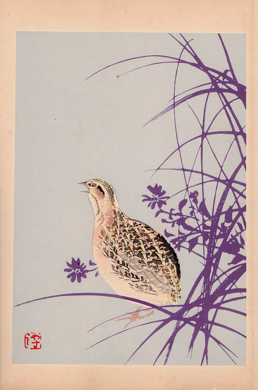 Japanese design, antique, 1934, Yoshida Gyokujo, "Tansai-Gafu"., woodcut print.