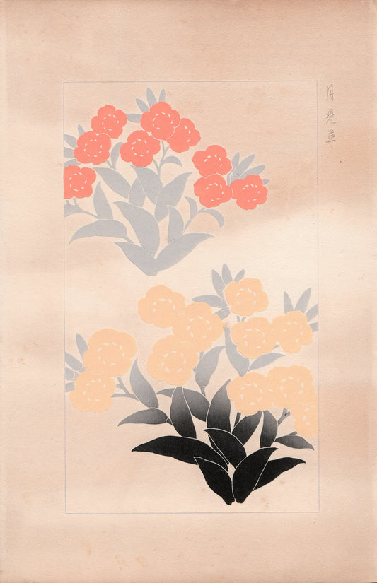 Japanese design, antique, 1932,  Kawarazaki Kodo,  Evening primrose, woodcut print.