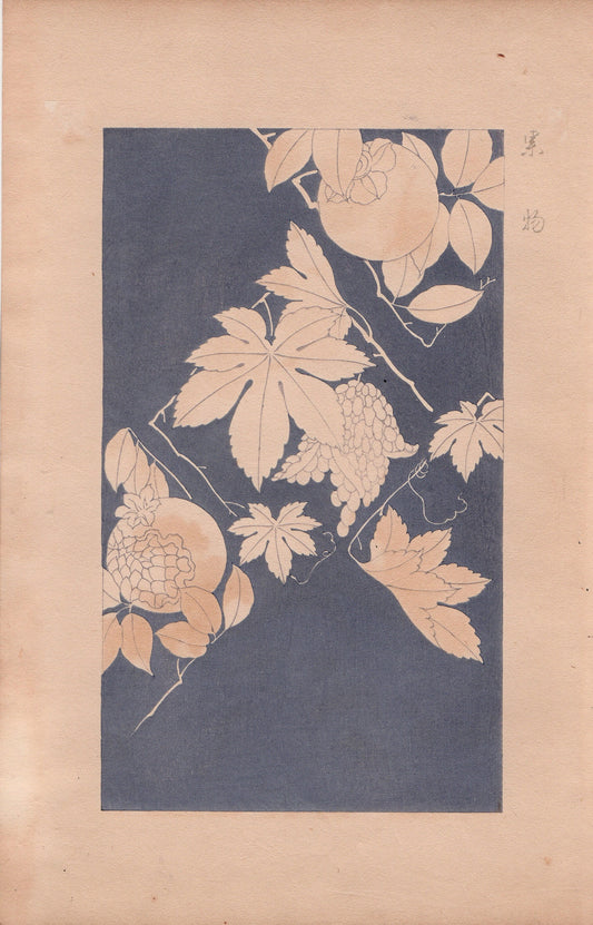 Japanese design, antique, 1932,  Kawarazaki Kodo, Fruit, woodcut print.