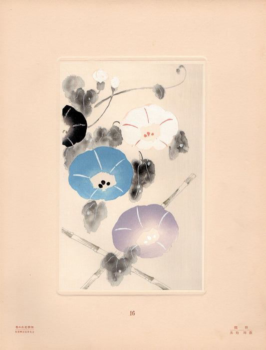 Japanese antique woodblock print, Design, Japanese antique woodblock print, Design, 1932, Morning Glory Design.