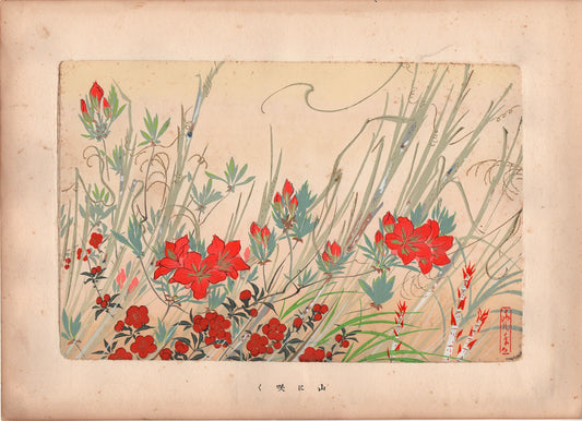 Japanese design, antique, 1937, Shinohara Bankō, Dyeing and weaving patterns, Four Seasons Flower Painting Collection., woodcut print.