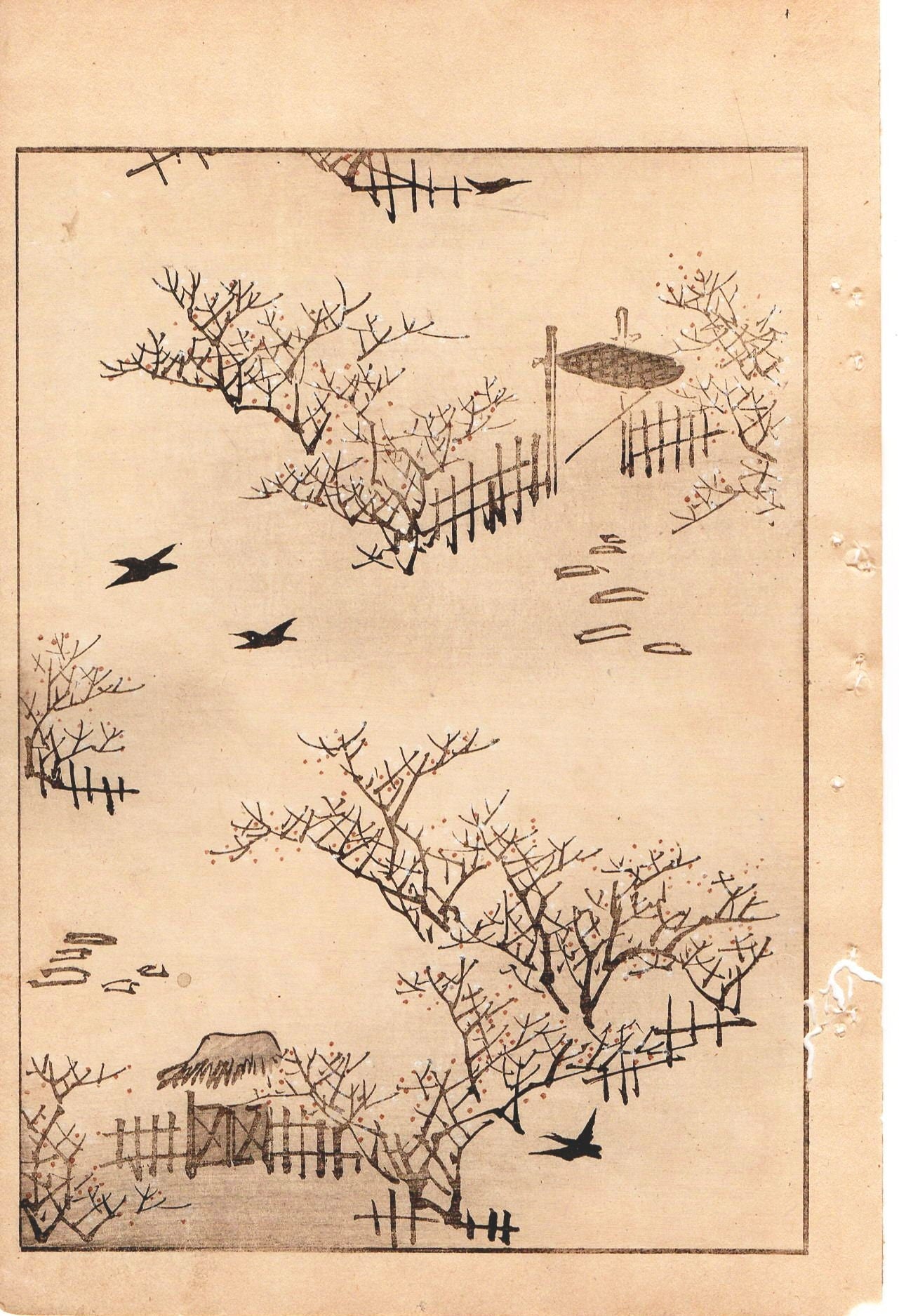 Japanese Antique Original Woodcut Print, Japanese design, Around 1900, Bijutsukai 1, Antique Japanese print, Kimono Design.