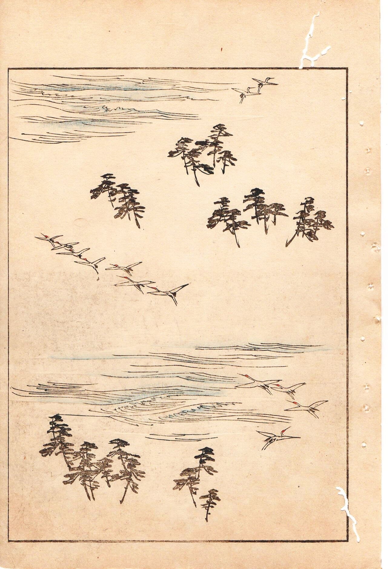 Japanese Antique Original Woodcut Print, c 1900, Bijutsukai 1, Sekka, Korin