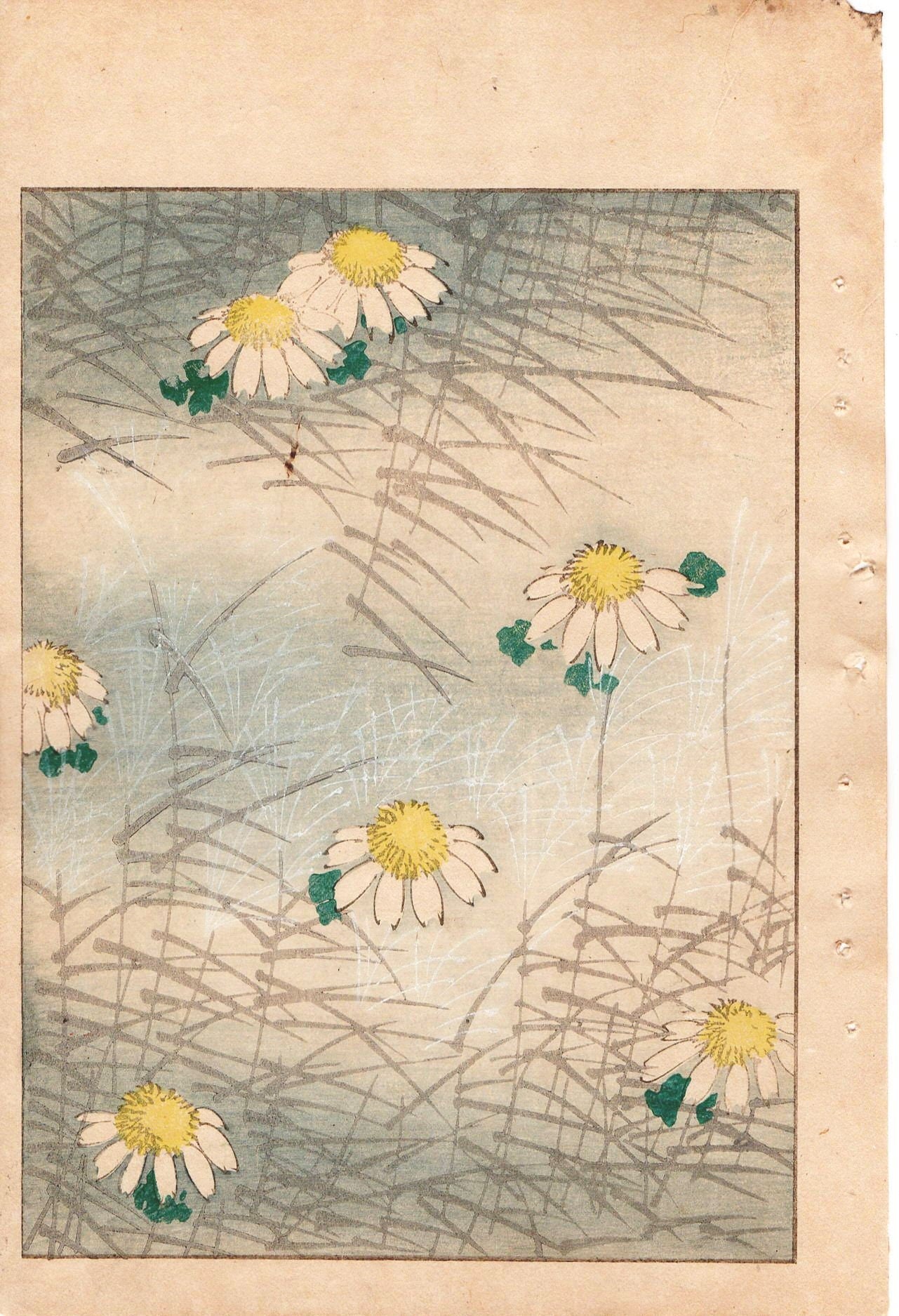 Japanese Antique Original Woodcut Print, Japanese design, Around 1900, Bijutsukai 1, Antique Japanese print, Kimono Design.