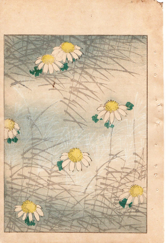 Japanese Antique Original Woodcut Print, Japanese design, Around 1900, Bijutsukai 1, Antique Japanese print, Kimono Design.