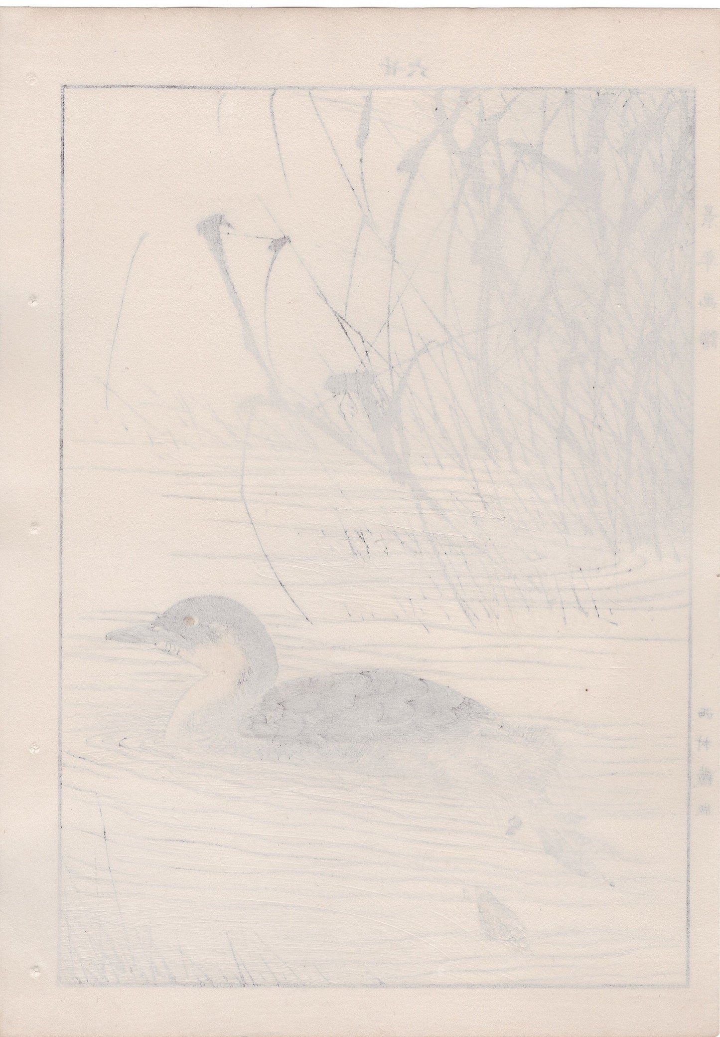 Japanese Antique Original Woodcut Print, 1892, Imao Keinen, "Manchurian wild rice, Little grebe"