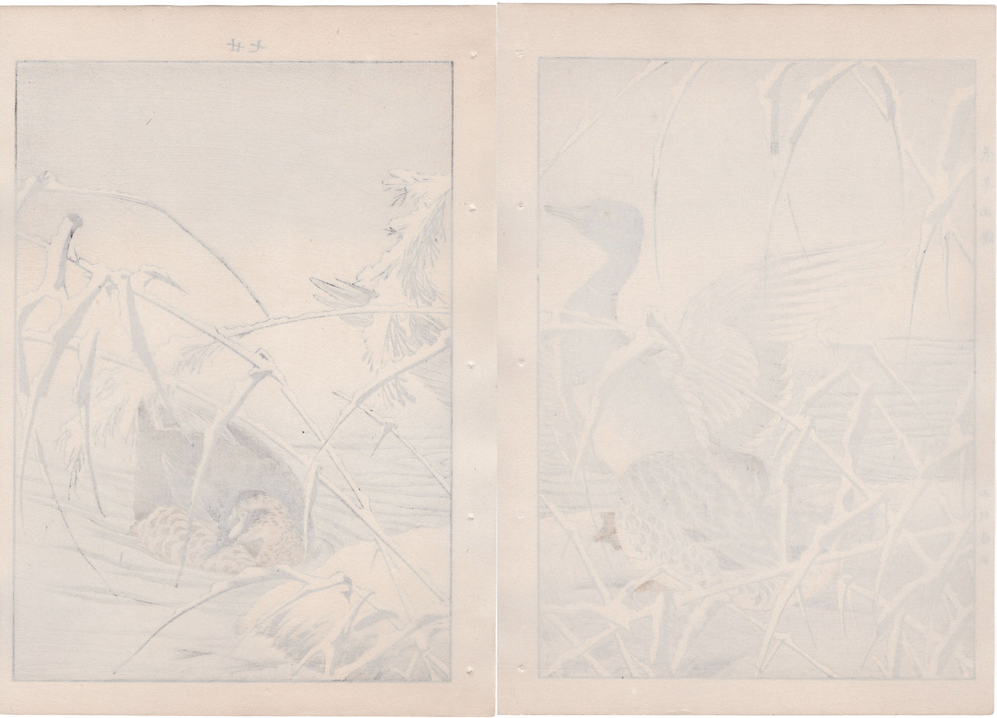 Japanese Antique Original Woodcut Print, 1892, Imao Keinen, "Reed, Duck"