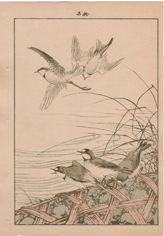 1892, Japanese Antique Original Woodblock Print,  Imao Keinen, "Thatch, River plover"