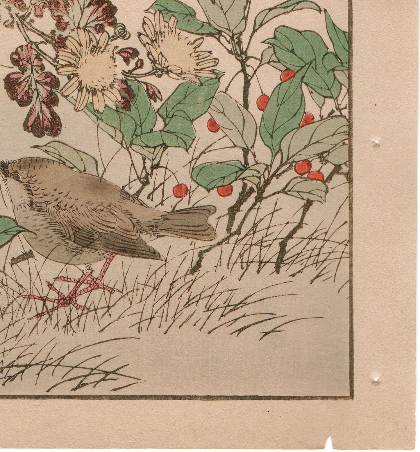 Japanese Antique Original Woodcut Print, 1892, Imao Keinen, "Winter chrysanthemum, Ardisia japonica, Eurasian wren"