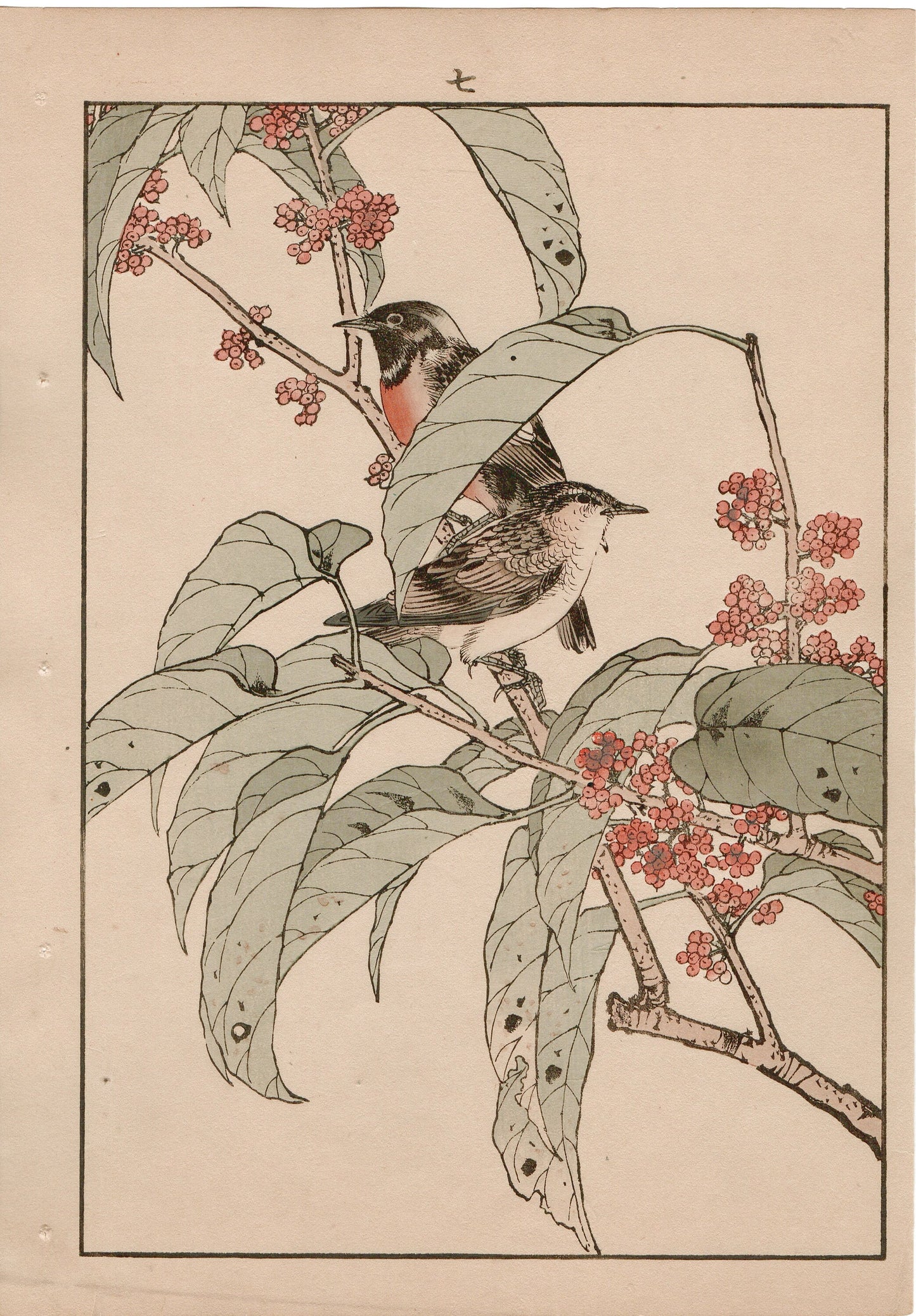 Japanese Antique Original Woodcut Print, 1892, Imao Keinen, "Tamamizuki, Ryukyu's chats"