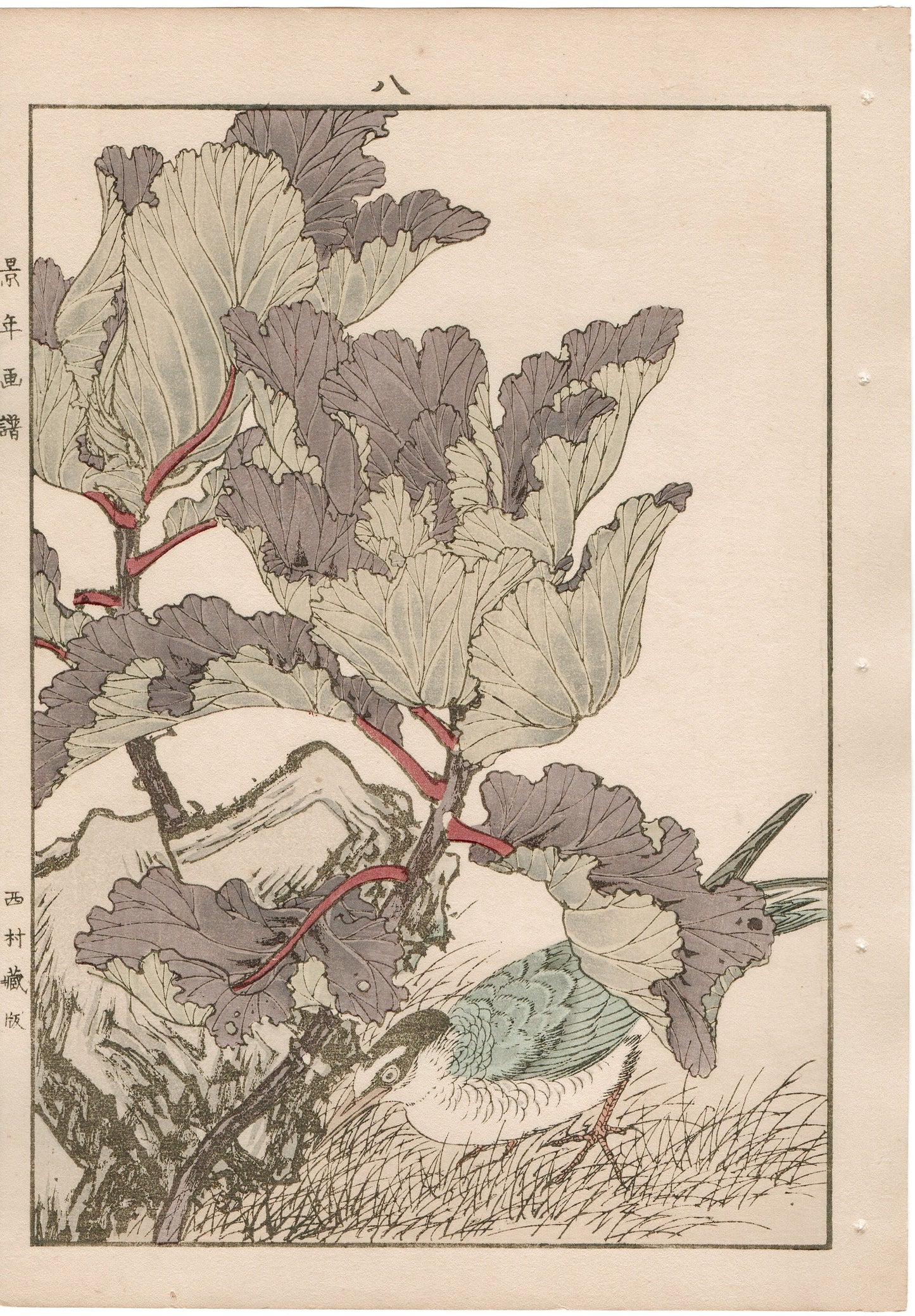 Japanese Antique Original Woodcut Print, 1892, Imao Keinen, "Flowering kale, Kawarabashiri"