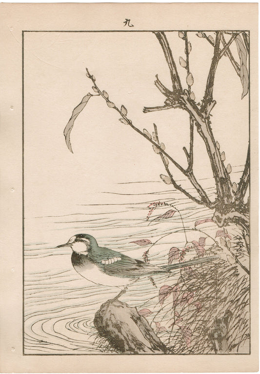 Japanese Antique Original Woodcut Print, 1892, Imao Keinen, "Riverside willow, Wagtail"
