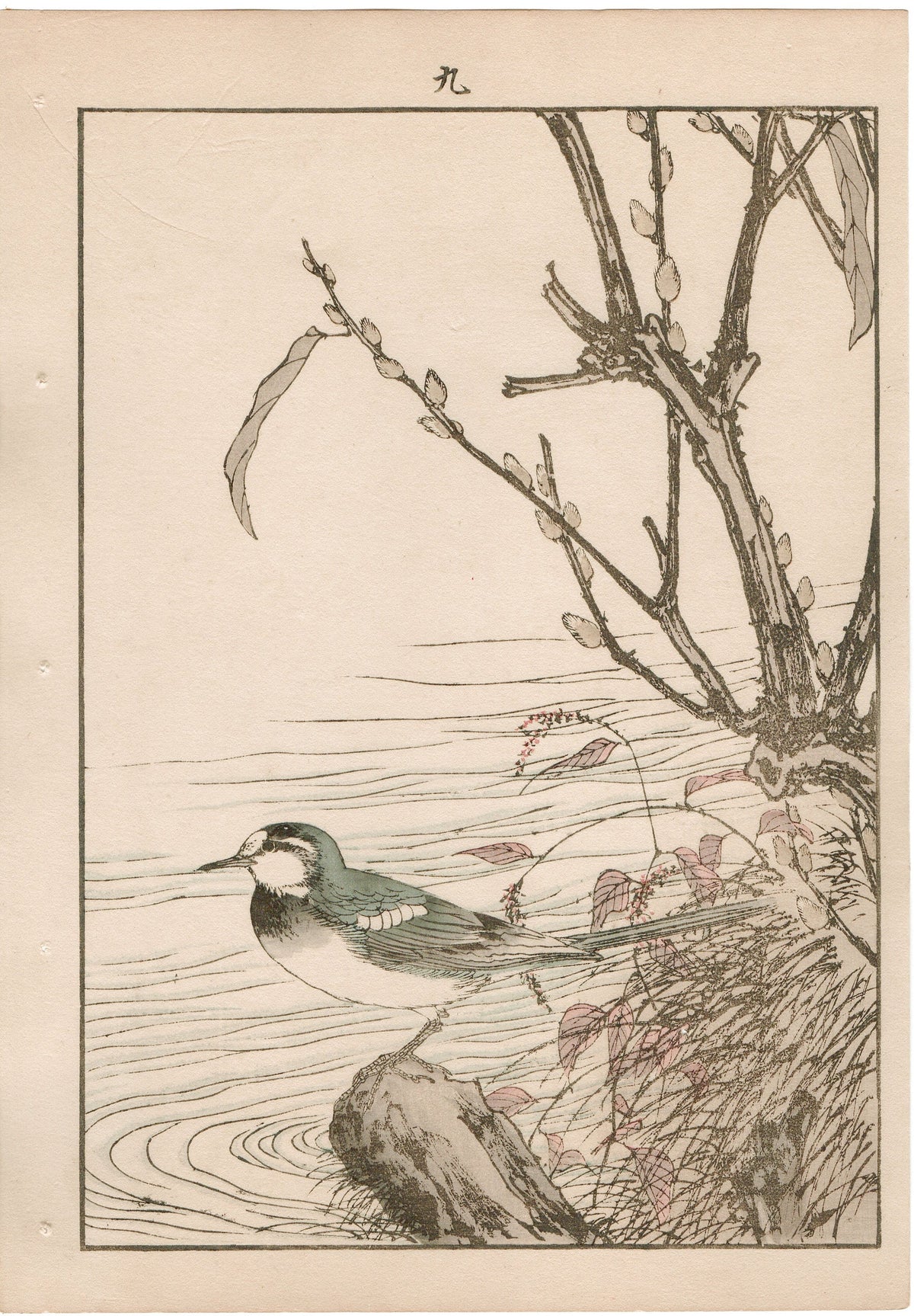 1892, Japanese Antique Original Woodblock Print,  Imao Keinen, "Riverside willow, Wagtail"