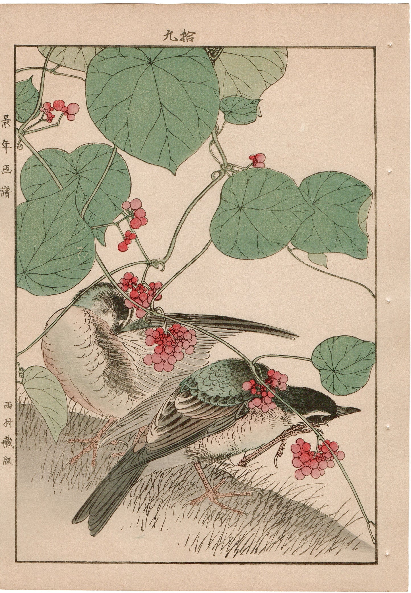 Japanese Antique Original Woodcut Print, 1892, Imao Keinen, "Stephania japonica, Brown-headed thrush"