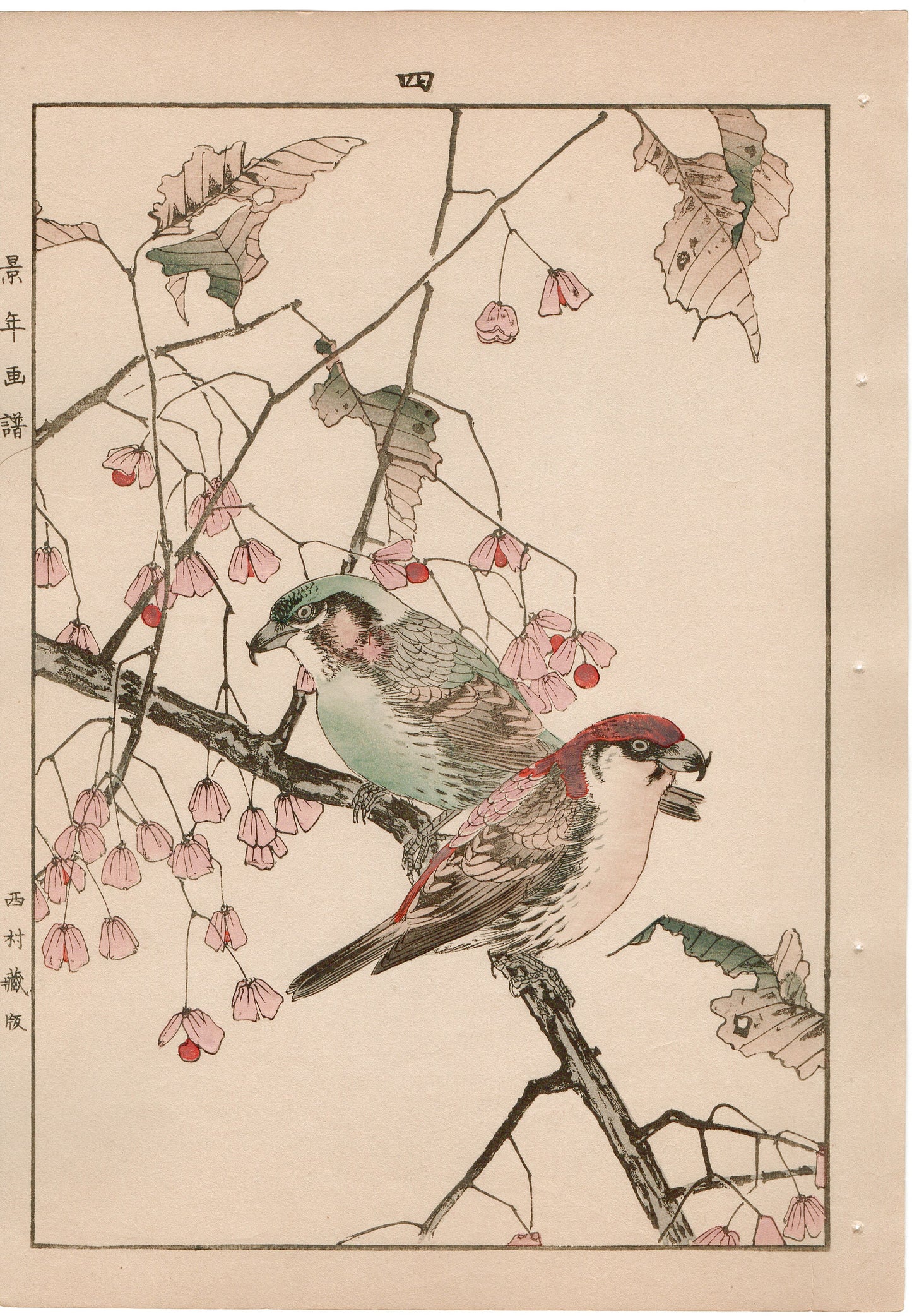 Japanese Antique Original Woodcut Print, 1892, Imao Keinen, "Euonymus hamiltonianus Wall, Common Crossbill"