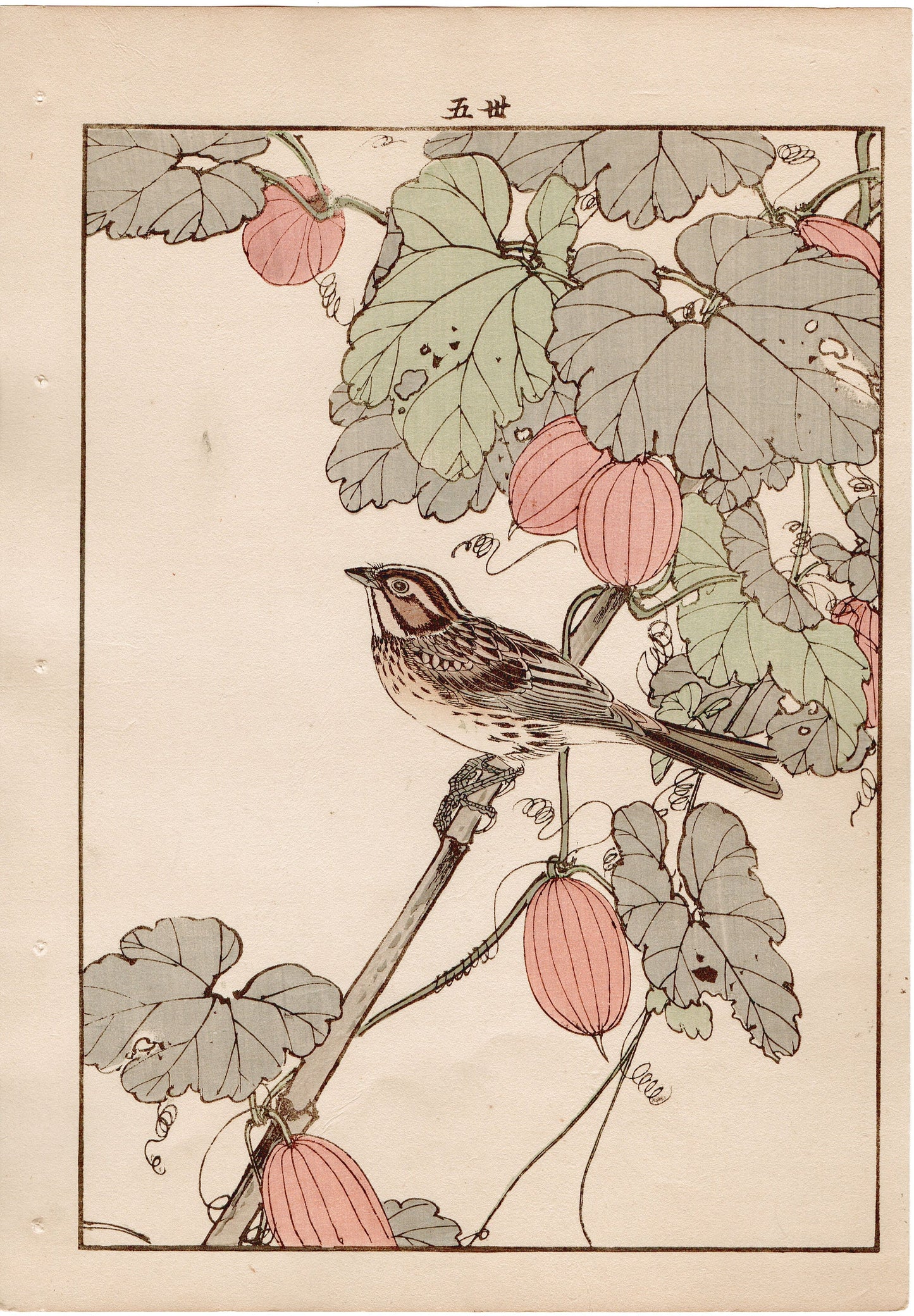 Japanese Antique Original Woodcut Print, 1892, Imao Keinen, "Japanese snake gourd, Yellow-throated bunting"