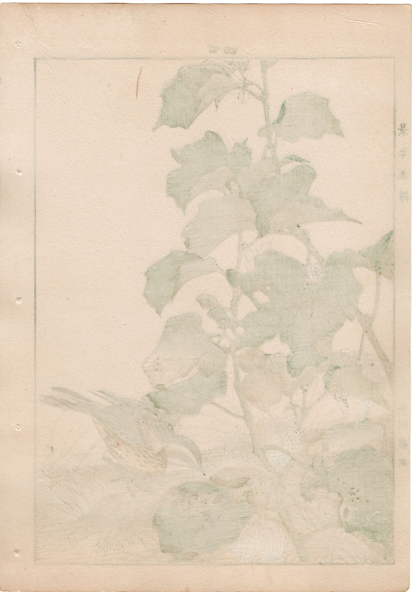 Japanese Antique Original Woodcut Print, 1892, Imao Keinen, "Chinese lantern plant, Meadow bunting"