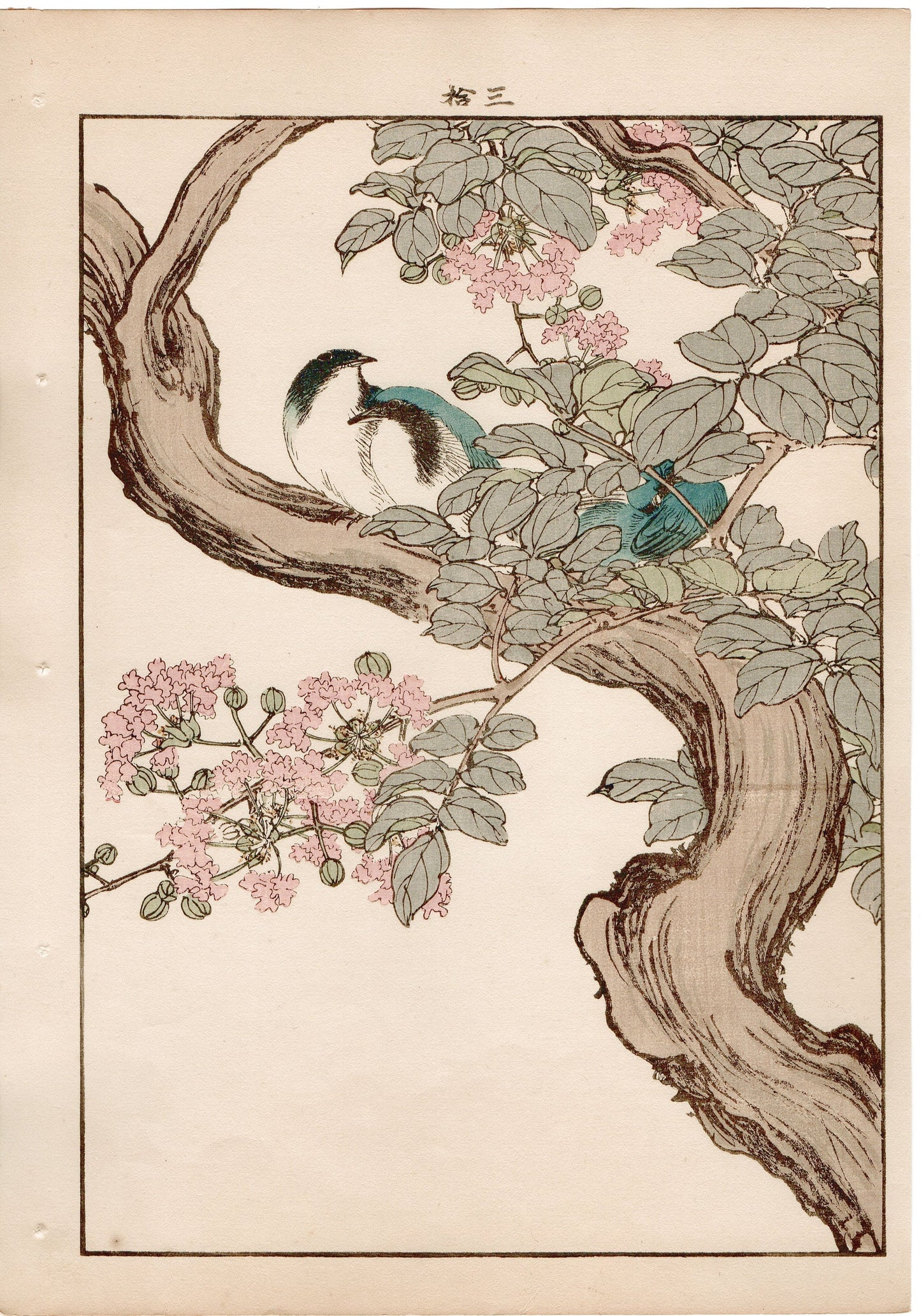 Japanese Antique Original Woodcut Print, 1892, Imao Keinen, "Crape-myrtle, Siberian blue robin"