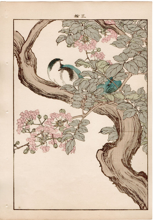 Japanese Antique Original Woodcut Print, 1892, Imao Keinen, "Crape-myrtle, Siberian blue robin"