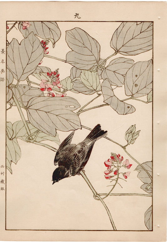 Japanese Antique Original Woodcut Print, 1892, Imao Keinen, "Kudzu, Kuromebachi"
