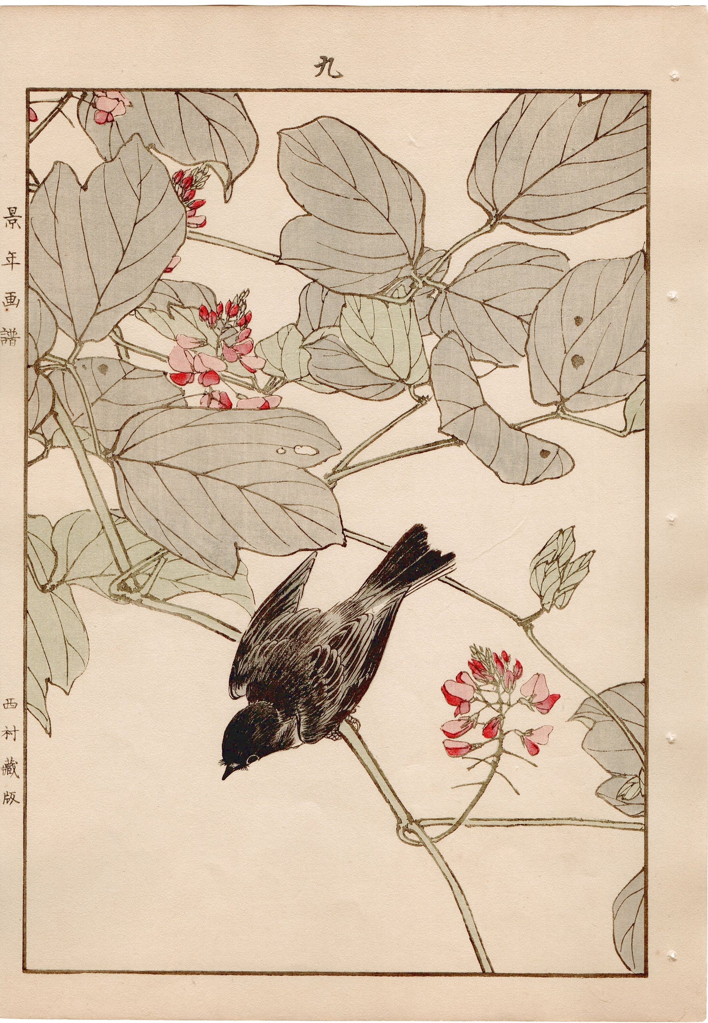 Japanese Antique Original Woodcut Print, 1892, Imao Keinen, "Kudzu, Kuromebachi"