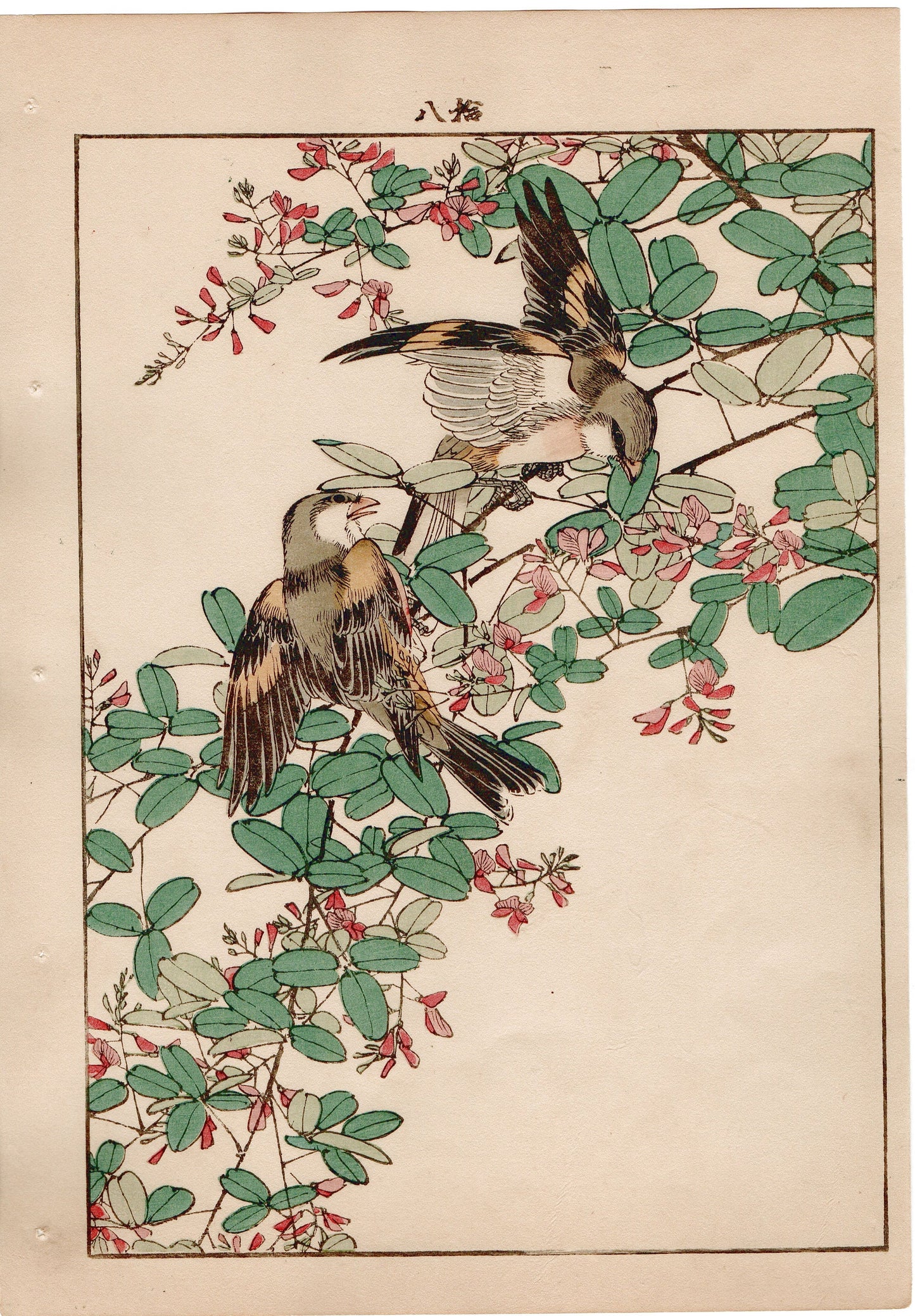 Japanese Antique Original Woodcut Print, 1892, Imao Keinen, "Bush clover, Oriental greenfinch"