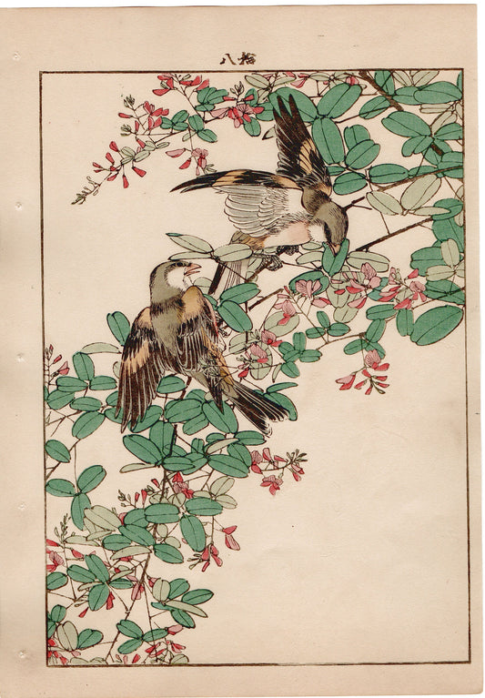 Japanese Antique Original Woodcut Print, 1892, Imao Keinen, "Bush clover, Oriental greenfinch"