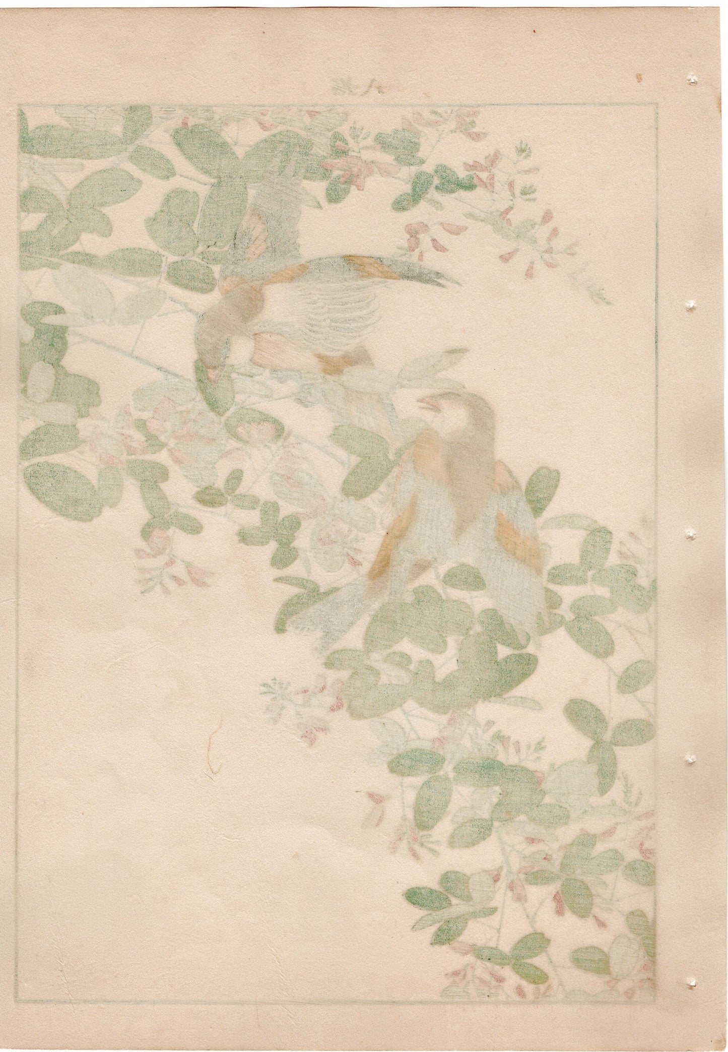 Japanese Antique Original Woodcut Print, 1892, Imao Keinen, "Bush clover, Oriental greenfinch"
