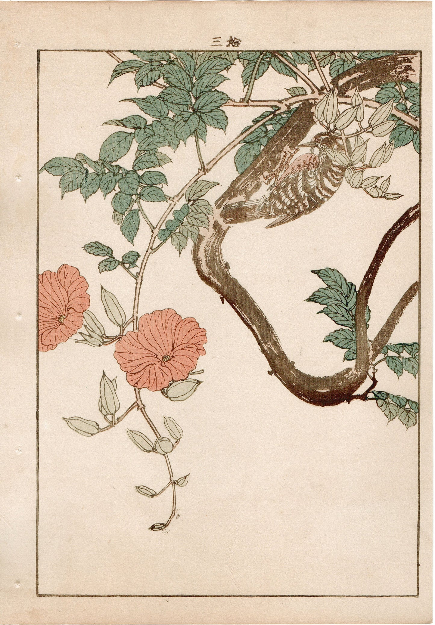 Japanese Antique Original Woodcut Print, 1892, Imao Keinen, "Chinese trumpet vine, Japanese Pygmy Woodpecker"