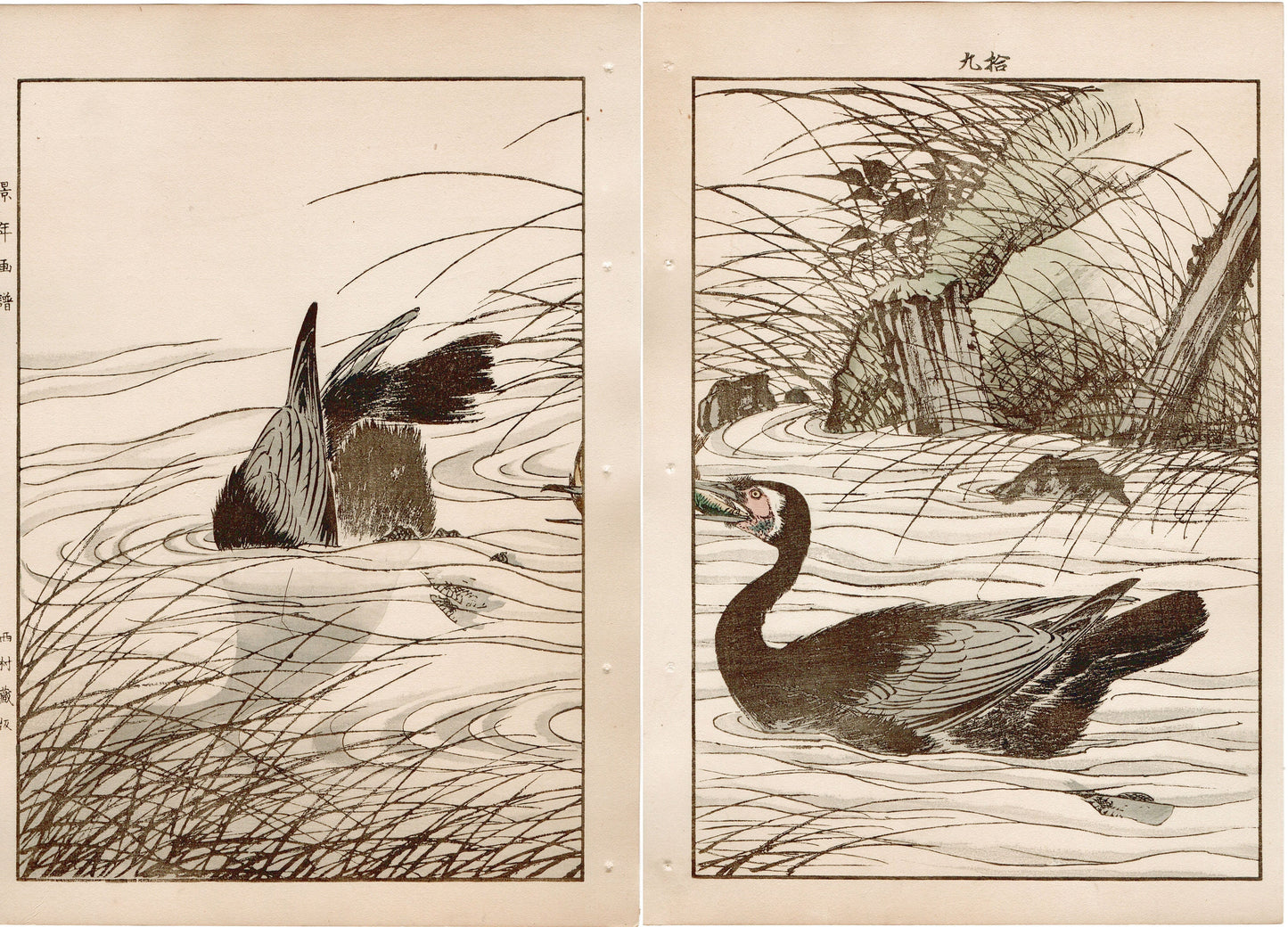 Japanese Antique Original Woodcut Print, 1892, Imao Keinen, "Clematis ternifora, Thatch, cormorant"