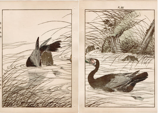 Japanese Antique Original Woodcut Print, 1892, Imao Keinen, "Clematis ternifora, Thatch, cormorant"